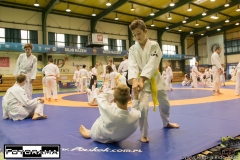 RE8A6212 (Kopiowanie)