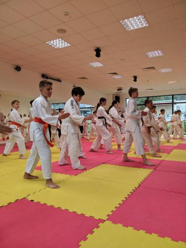 IMG 20220716 145641