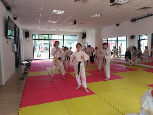 IMG 20220718 101913