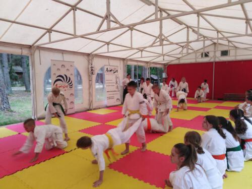 IMG 20210721 105938