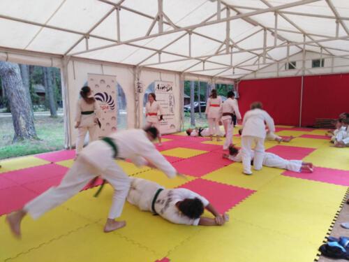 IMG 20210721 110429